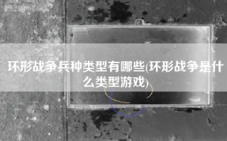 环形战争兵种类型有哪些(环形战争是什么类型游戏)