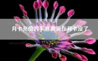 月卡充值的手游,我现在月卡没了