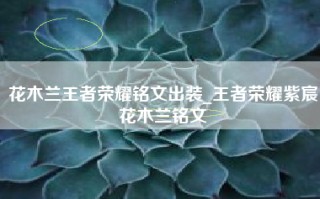 花木兰王者荣耀铭文出装_王者荣耀紫宸花木兰铭文