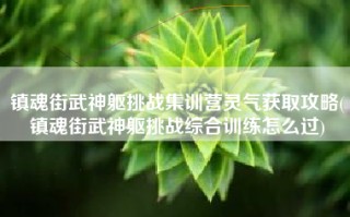 镇魂街武神躯挑战集训营灵气获取攻略(镇魂街武神躯挑战综合训练怎么过)