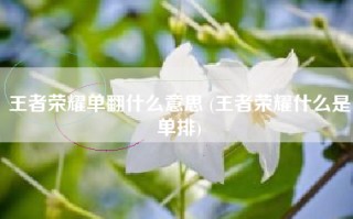 王者荣耀单翻什么意思 (王者荣耀什么是单排)