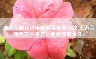 王者荣耀狂铁电玩高手皮肤特效(王者荣耀电玩小子怎么免费领取永久)