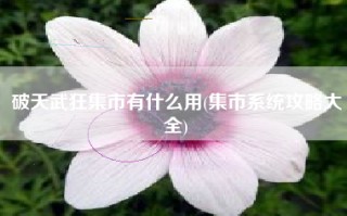 破天武狂集市有什么用(集市系统攻略大全)