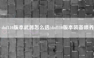 dnf110版本武器怎么选(dnf110版本装备喂养)
