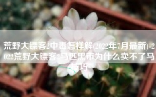 荒野大镖客2中毒怎样解(2022年7月最新)-2022荒野大镖客2马匹黑市为什么卖不了马技巧