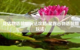 花店物语前期玩法攻略(星露谷物语前期玩法)