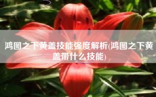 鸿图之下黄盖技能强度解析(鸿图之下黄盖带什么技能)