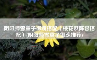 阴阳师雪童子御魂搭配（桃花妖阵容搭配）(阴阳师雪童子御魂推荐)