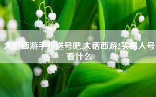 大话西游手游送号吧,大话西游2买男人号看什么