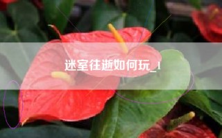 迷室往逝如何玩_1
