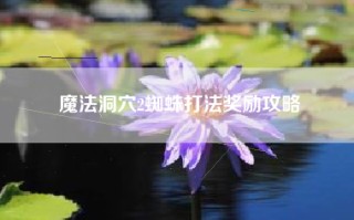 魔法洞穴2蜘蛛打法奖励攻略