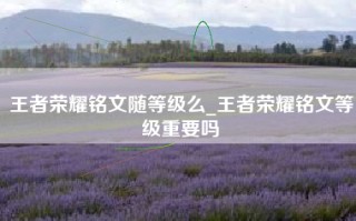 王者荣耀铭文随等级么_王者荣耀铭文等级重要吗