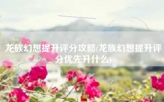 龙族幻想提升评分攻略(龙族幻想提升评分优先升什么)