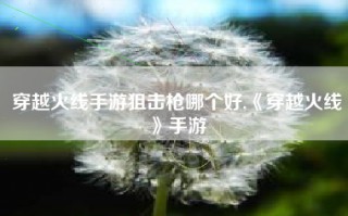 穿越火线手游狙击枪哪个好,《穿越火线》手游