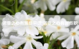 诺亚之心有哪些菜谱(诺亚之心有哪些职业)