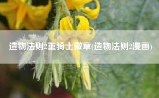 造物法则2重骑士徽章(造物法则2漫画)