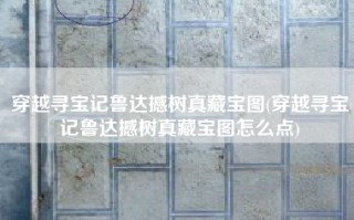 穿越寻宝记鲁达撼树真藏宝图(穿越寻宝记鲁达撼树真藏宝图怎么点)