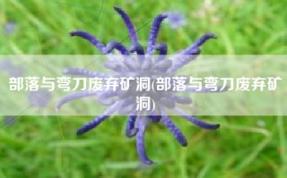 部落与弯刀废弃矿洞(部落与弯刀废弃矿洞)