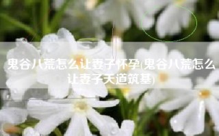 鬼谷八荒怎么让妻子怀孕(鬼谷八荒怎么让妻子天道筑基)