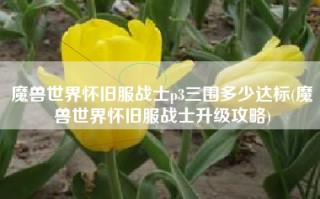 魔兽世界怀旧服战士p3三围多少达标(魔兽世界怀旧服战士升级攻略)