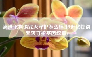 超进化物语咒灭守护怎么样(超进化物语咒灭守护基因纹章)