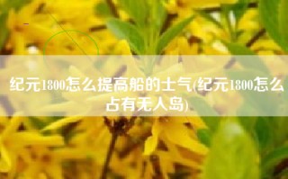纪元1800怎么提高船的士气(纪元1800怎么占有无人岛)