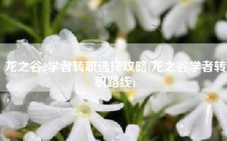 龙之谷2学者转职选择攻略(龙之谷学者转职路线)