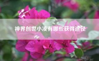 神界创世小凑有哪些获得途径