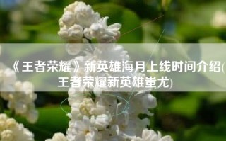 《王者荣耀》新英雄海月上线时间介绍(王者荣耀新英雄蚩尤)