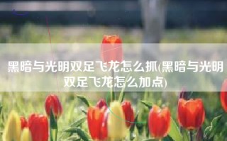 黑暗与光明双足飞龙怎么抓(黑暗与光明双足飞龙怎么加点)