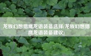 龙族幻想猎鹰龙语装备选择(龙族幻想猎鹰龙语装备建议)