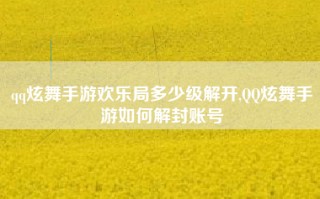 qq炫舞手游欢乐局多少级解开,QQ炫舞手游如何解封账号