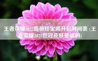 王者荣耀2022蔷薇珍宝阁开启时间表 (王者荣耀2022世冠皮肤是谁的)