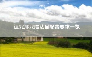 诅咒那只魔法猫配置要求一览
