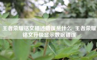 王者荣耀铭文描述错误是什么_王者荣耀铭文升级显示数据错误