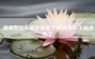 原神怎么不能改名字了(原神怎么不能改名了)