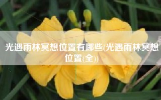 光遇雨林冥想位置有哪些(光遇雨林冥想位置(全))