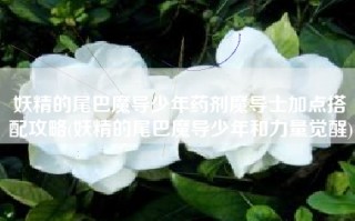 妖精的尾巴魔导少年药剂魔导士加点搭配攻略(妖精的尾巴魔导少年和力量觉醒)
