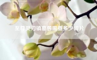 至尊灵刃镇墓兽需要多少碎片