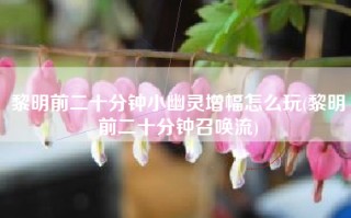黎明前二十分钟小幽灵增幅怎么玩(黎明前二十分钟召唤流)