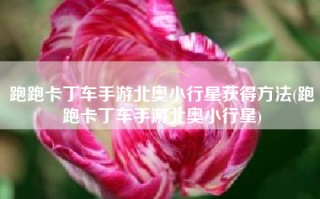 跑跑卡丁车手游北奥小行星获得方法(跑跑卡丁车手游北奥小行星)