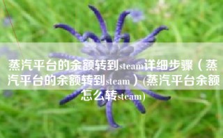 蒸汽平台的余额转到steam详细步骤（蒸汽平台的余额转到steam）(蒸汽平台余额怎么转steam)
