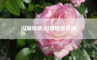 闪耀暖暖(闪耀暖暖微博)