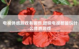 电视体感游戏有哪些,超级电视都能玩什么体感游戏