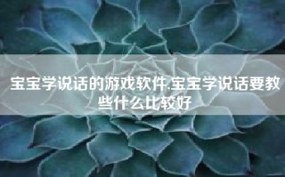 宝宝学说话的游戏软件,宝宝学说话要教些什么比较好