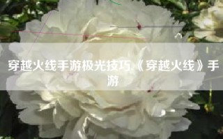 穿越火线手游极光技巧,《穿越火线》手游