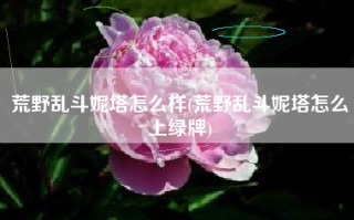 荒野乱斗妮塔怎么样(荒野乱斗妮塔怎么上绿牌)