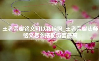 王者荣耀铭文可以私信吗_王者荣耀法师铭文怎么搭配伤害最高