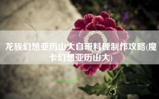 龙族幻想亚历山大自研料理制作攻略(魔卡幻想亚历山大)