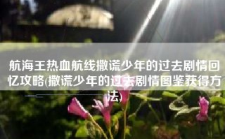 航海王热血航线撒谎少年的过去剧情回忆攻略(撒谎少年的过去剧情图鉴获得方法)